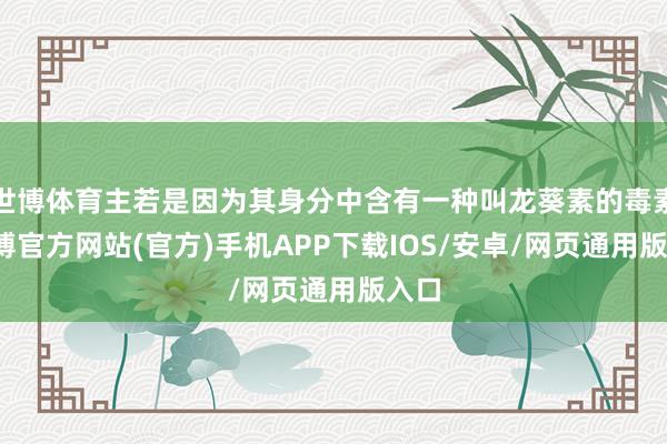 世博体育主若是因为其身分中含有一种叫龙葵素的毒素-世博官方网站(官方)手机APP下载IOS/安卓/网页通用版入口