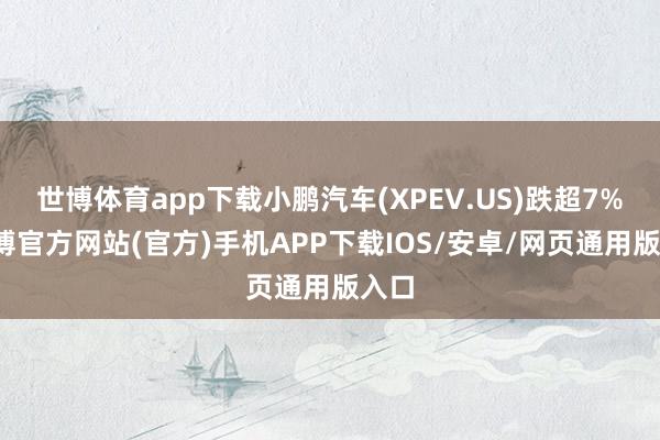 世博体育app下载小鹏汽车(XPEV.US)跌超7%-世博官方网站(官方)手机APP下载IOS/安卓/网页通用版入口