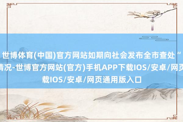 世博体育(中国)官方网站如期向社会发布全市查处“四风”问题情况-世博官方网站(官方)手机APP下载IOS/安卓/网页通用版入口