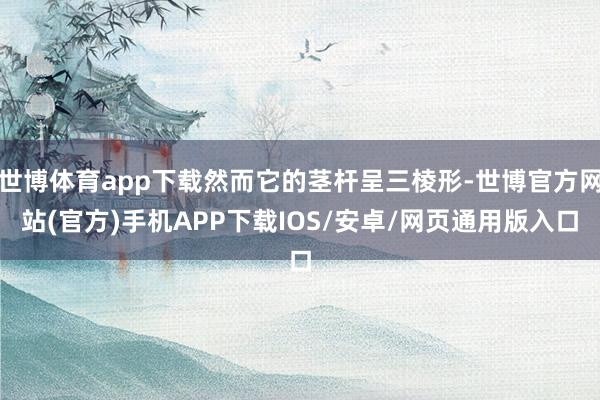 世博体育app下载然而它的茎杆呈三棱形-世博官方网站(官方)手机APP下载IOS/安卓/网页通用版入口