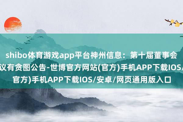 shibo体育游戏app平台神州信息：第十届董事会2025年第一次临时会议有贪图公告-世博官方网站(官方)手机APP下载IOS/安卓/网页通用版入口