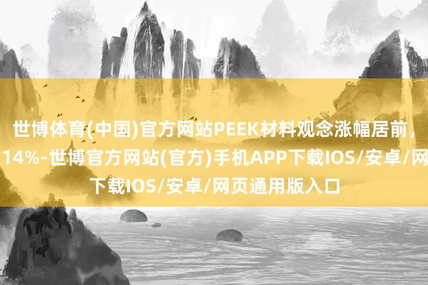 世博体育(中国)官方网站PEEK材料观念涨幅居前，双一科技涨超14%-世博官方网站(官方)手机APP下载IOS/安卓/网页通用版入口